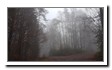 Bild_01.jpg